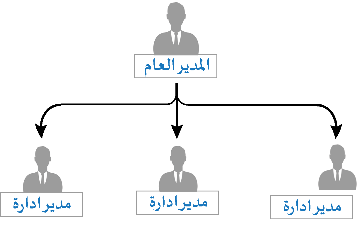 الهيكل الاداري و الوظيفي